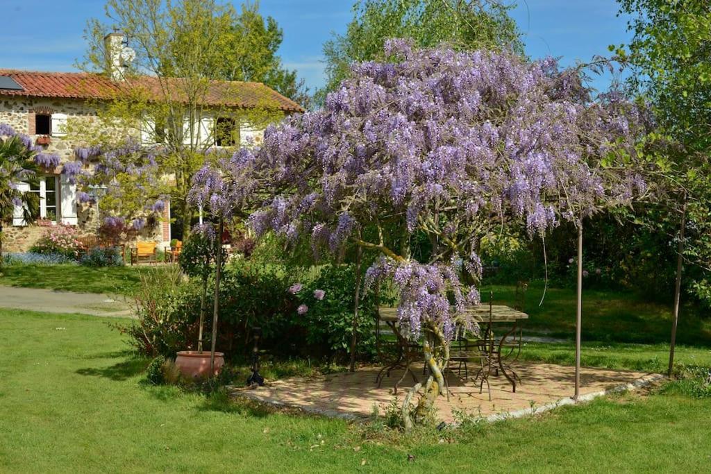 La Frapperie Bed & Breakfast La Pommeraie-sur-Sèvre Екстериор снимка