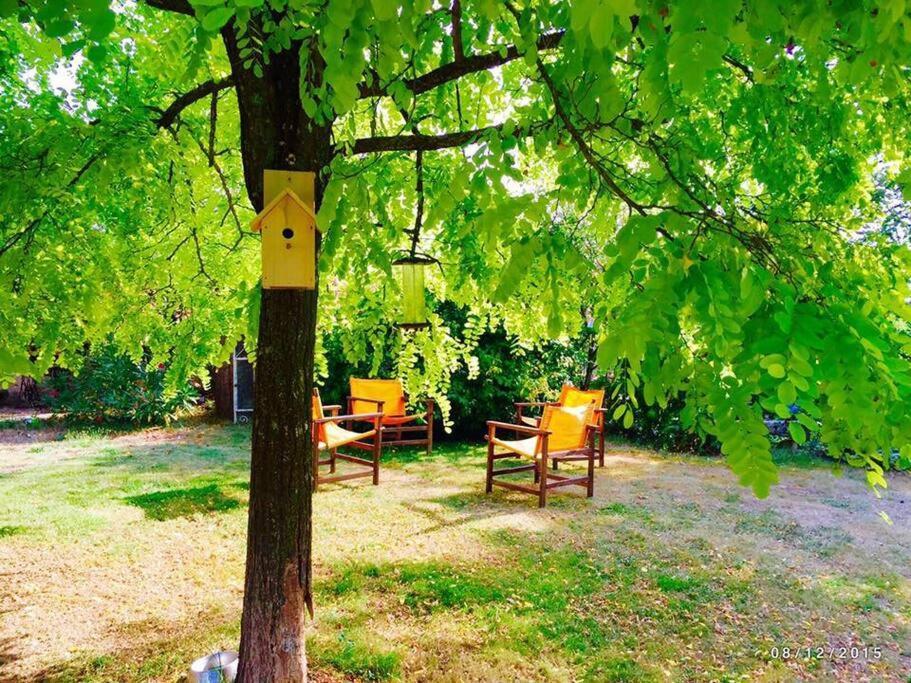La Frapperie Bed & Breakfast La Pommeraie-sur-Sèvre Екстериор снимка