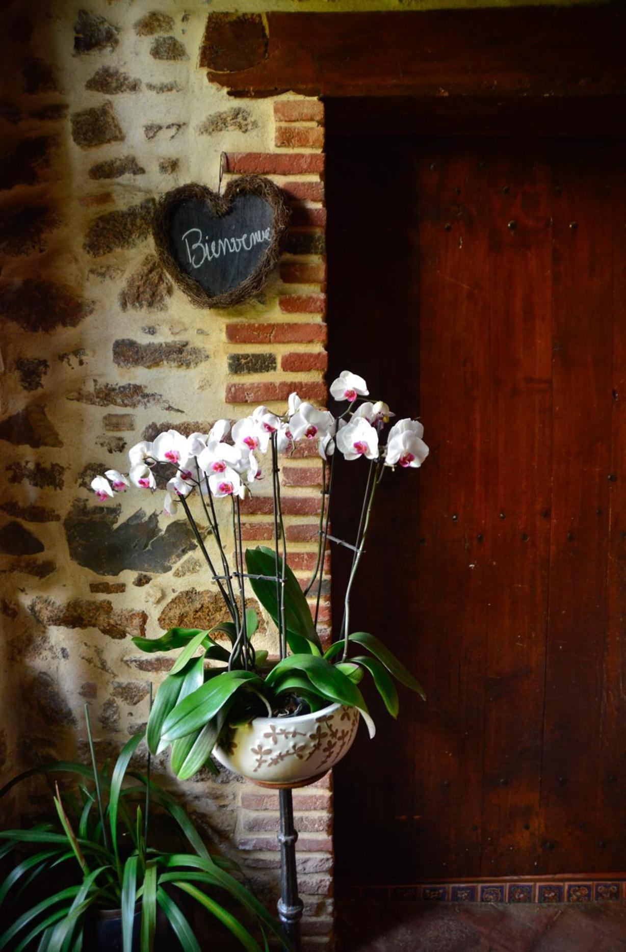 La Frapperie Bed & Breakfast La Pommeraie-sur-Sèvre Екстериор снимка